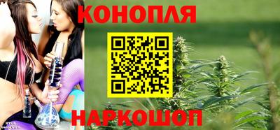 индика Пыть-Ях